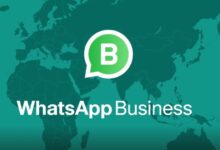 whatsapp business