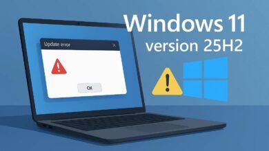 Windows 11 25H2-hatasi