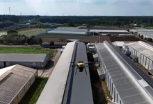 dron ile kuş gribi