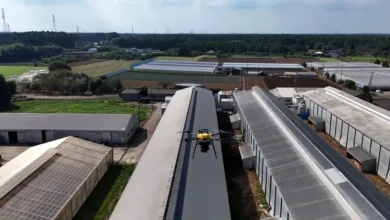 dron ile kuş gribi