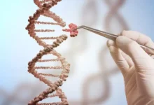 CRISPR ve Gen Duzenleme Teknolojisi