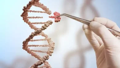 CRISPR ve Gen Duzenleme Teknolojisi