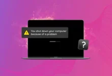 Intel Maclerde macOS Guncelleme Tuzaklari