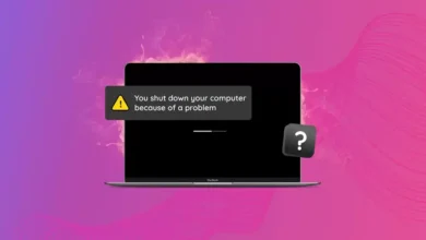 Intel Maclerde macOS Guncelleme Tuzaklari